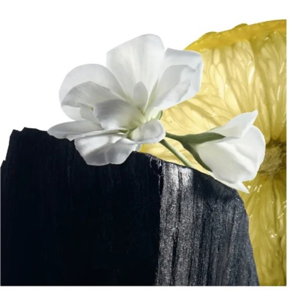 Yves Saint Laurent Y EDT, Woody, Aromatic, NEW - Mini 0.25 oz. 7.5 ml. - Picture 5 of 9